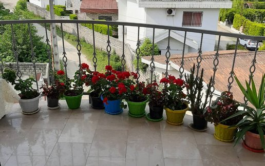 اجاره آپارتمان یک خوابه جنگلی محمد 1