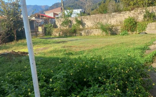ویلا دوخوابه جنگلی جوادی