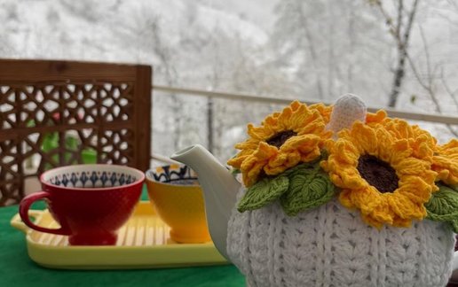 اجاره آپارتمان یک خوابه جنگلی میعاد 1
