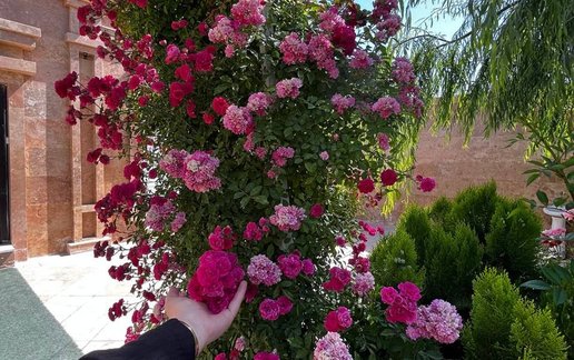 رزرو ویلا دوخوابه استخردار آبگرم نایب