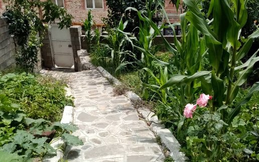 اجاره سوئیت یک خوابه عباس زاده 1