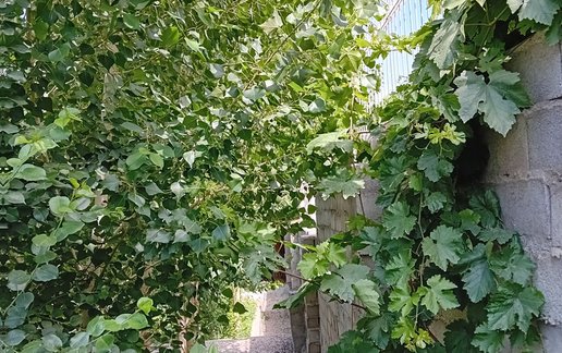 اجاره ویلا دوخوابه باغ آزادی