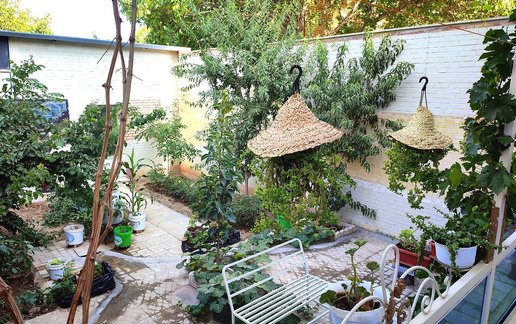 اجاره آپارتمان یک خوابه خانه بِیشْ