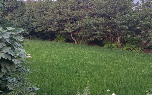 رزرو ویلا یک خوابه سمیم