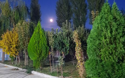 رزرو ویلا یک خوابه گیان