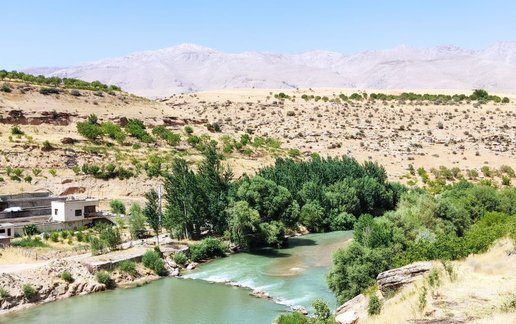 اجاره بوم گردی کاج - واحد فیروزه