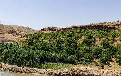 اجاره بوم گردی کاج - واحد فیروزه