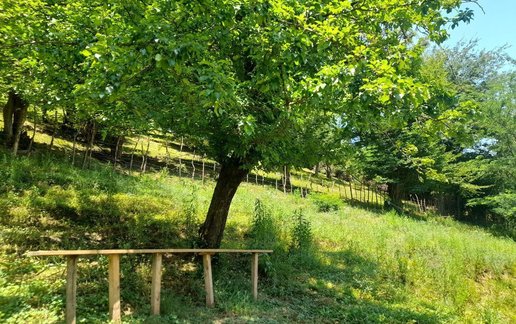 اجاره کلبه دوخوابه جنگلی طاسکوه 1