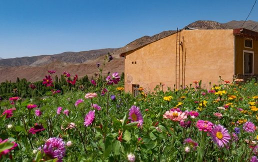 اجاره بوم گردی روز یه - واحد سولا