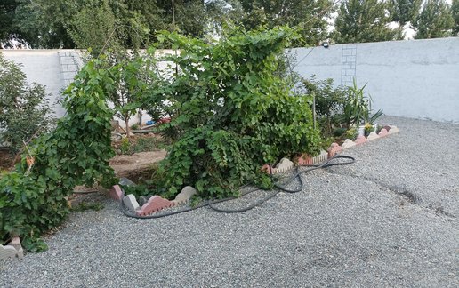 اجاره ویلا دوخوابه استخردار چیلای