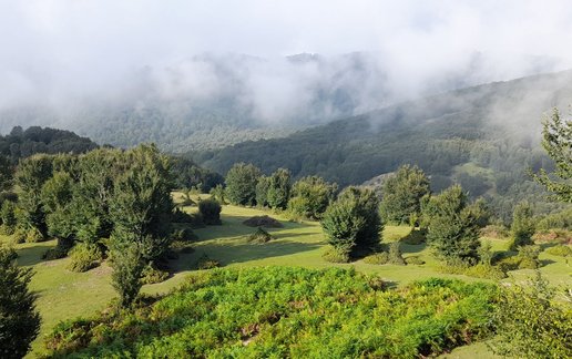 اجاره ویلا دوخوابه کوهستانی علوی