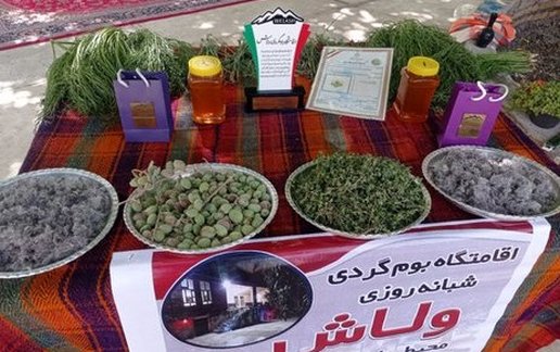 رزرو بوم گردی ولاش - واحد گرین
