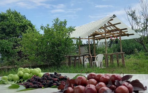 رزرو ویلا دوخوابه روستایی ناریکا