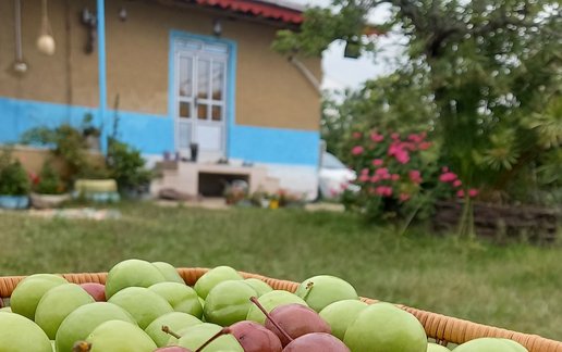 رزرو ویلا دوخوابه روستایی ناریکا