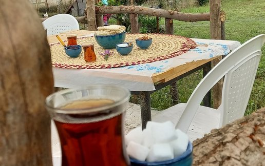 رزرو ویلا دوخوابه روستایی ناریکا