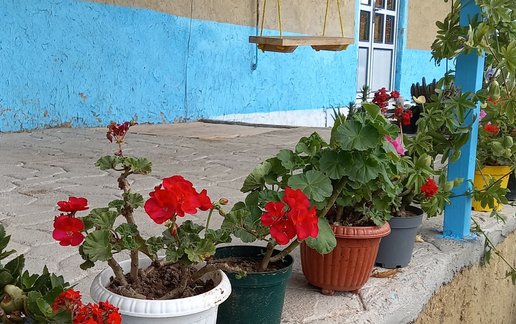 رزرو ویلا دوخوابه روستایی ناریکا