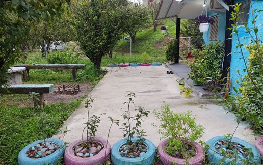 اجاره کلبه یک خوابه جنگلی آسایش