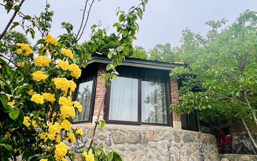 اجاره کلبه فلت شیشه ای لونا
