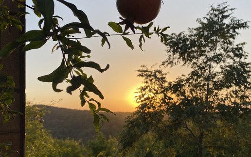 رزرو ویلا یک خوابه جنگلی قاصدک