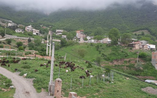 اجاره آپارتمان دوخوابه نرسو زیبا