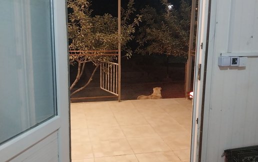 اجاره سوئیت فلت پردیس صحرا
