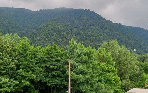 اجاره آپارتمان دوخوابه جنگلی گل نرگس 1