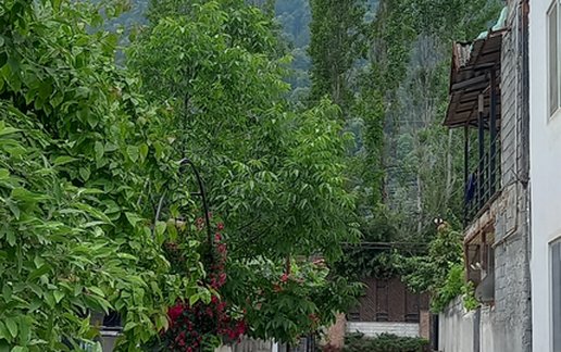 اجاره آپارتمان دوخوابه جنگلی گل نرگس 1