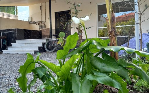 اجاره آپارتمان دوخوابه جنگلی گل نرگس 1