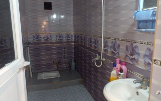 اجاره ویلا یک خوابه جنگلی نوشین