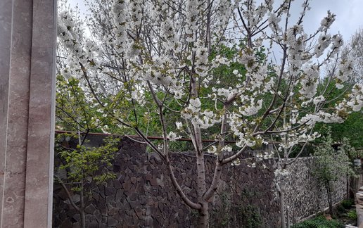 اجاره ویلا دوخوابه عمارت سماء