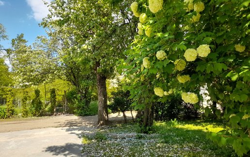 اجاره ویلا دوخوابه عمارت سماء