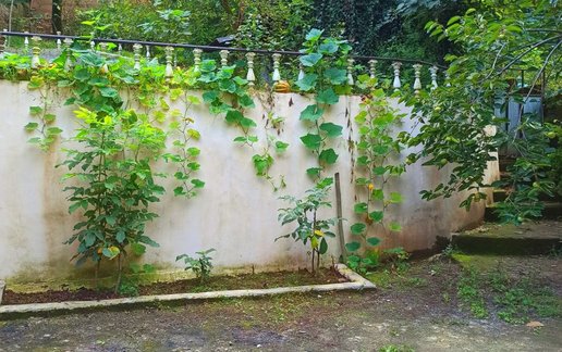 ویلا دوخوابه زیباکلام