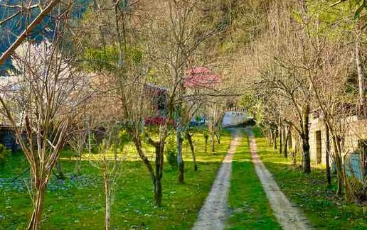 اجاره کلبه فلت چوبی زیبا کلام