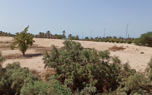 رزرو ویلا دوخوابه سیفی 1