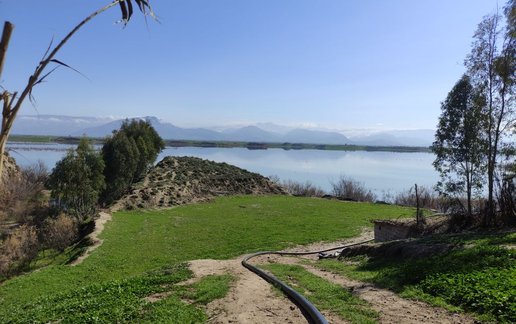 اجاره ویلا یک خوابه ولی زاده