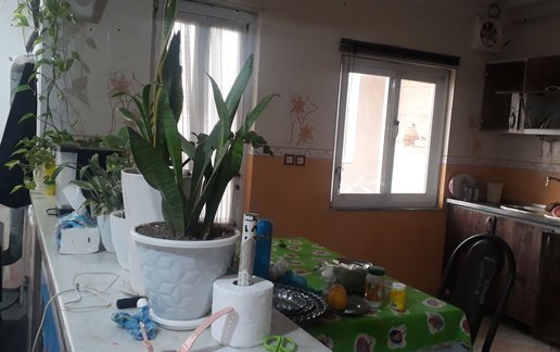 اجاره آپارتمان یک خوابه انجیلی 1