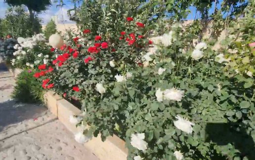 اجاره ویلا یک خوابه استخر دار تیام