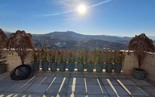 اجاره آپارتمان یک خوابه پنت هاوس دنیز
