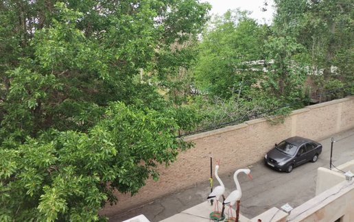 اجاره سوئیت فلت زنبق واحد 5