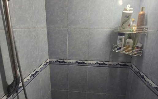 اجاره آپارتمان یک خوابه ارکیده 2