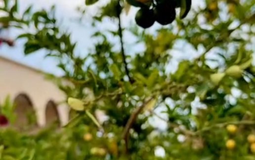 اجاره بوم گردی لیمر بوالخیر - واحد بوم