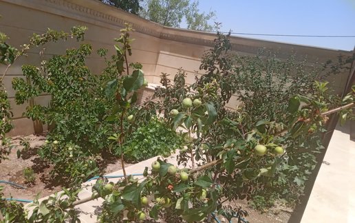 رزرو ویلا دوخوابه سنتی شهر سبز