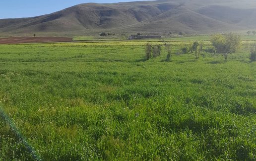 رزرو ویلا دوخوابه اهورا گنجه