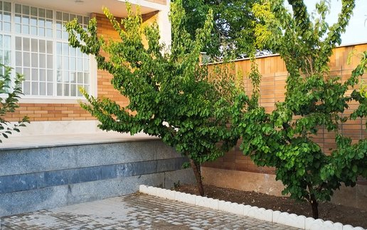 اجاره آپارتمان یک خوابه باغ مو