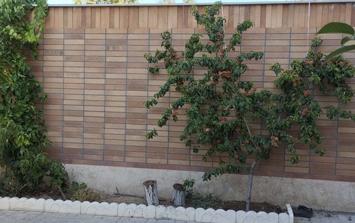 اجاره آپارتمان یک خوابه باغ مو