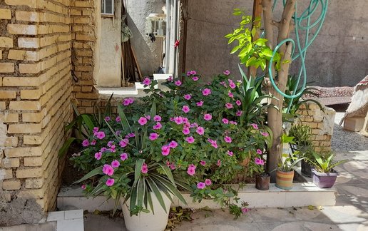 اجاره ویلا یک خوابه جمهوری 62