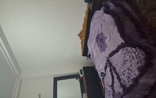 اجاره آپارتمان یک خوابه علی پاشا