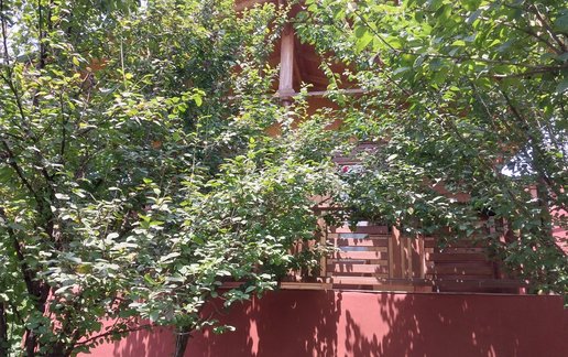 اجاره کلبه فلت باغ آلوچه