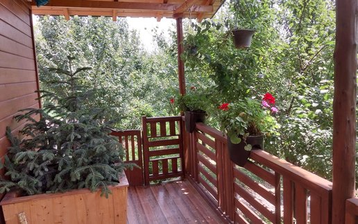 اجاره کلبه فلت باغ آلوچه