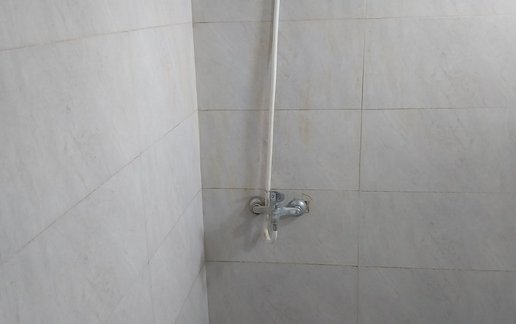 اجاره کلبه فلت باغ آلوچه